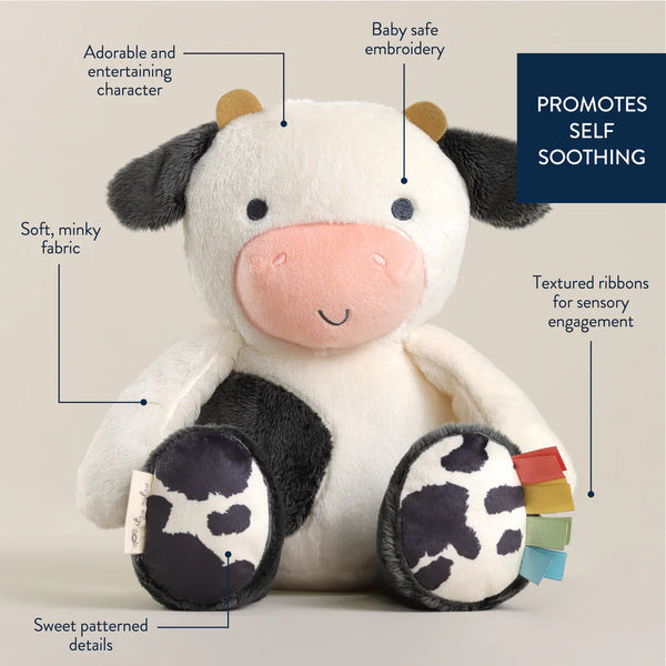 Sweetie Snuggles Plush | Cow