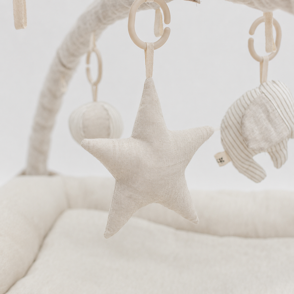 Hanging Rattle Star