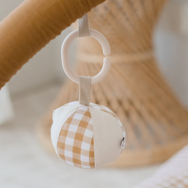 Hanging Rattle Ball