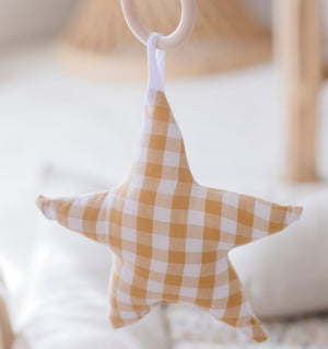 Hanging Rattle Star