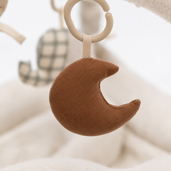 Hanging Rattle Moon