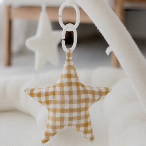 Hanging Rattle Star