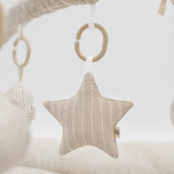 Hanging Crinkle Star