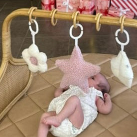 Hanging Rattle Star