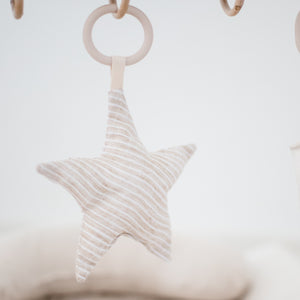 Hanging Rattle Star
