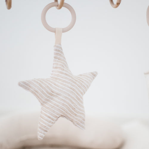 Hanging Rattle Star