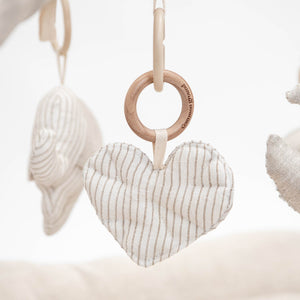 The Heart