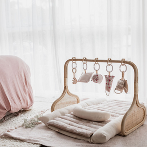 The Rattan Frame