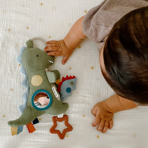 Dino the Bitzy Traveller