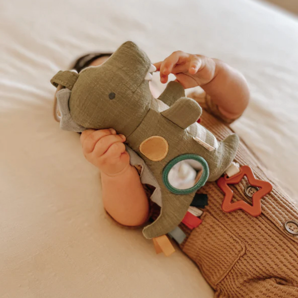 Dino the Bitzy Traveller