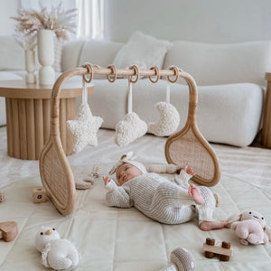 The Rattan Frame