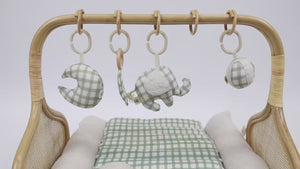 The Lenny | Rattan Play Gym